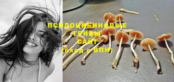 соль ск Абинск
